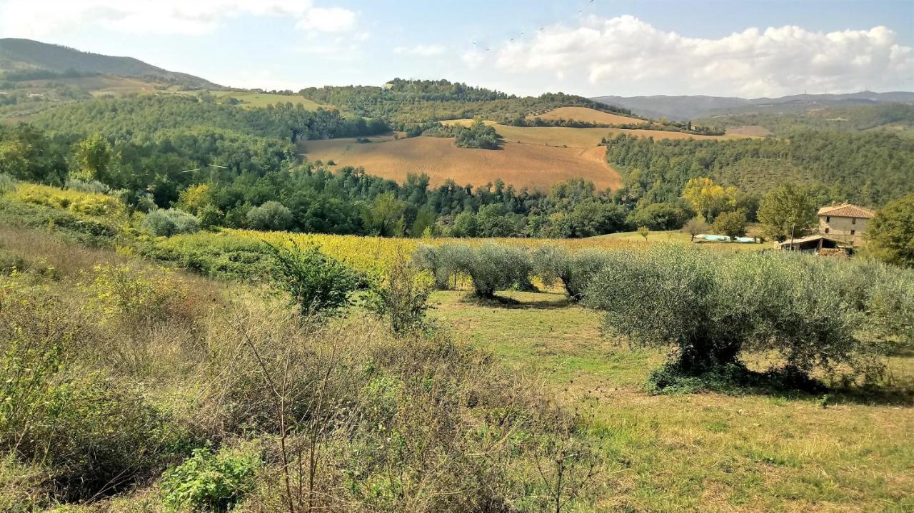Campo Al Vento - Country Farm Villa Monte Castello di Vibio Kültér fotó